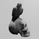Crow STL Download, Black Bird Corvus STL 3D Print File