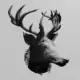 Deer Head STL Download, Cervidae Cervinae STL 3D Print File