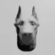 Doberman Head STL Download, Pinscher Dog STL 3D Print File