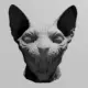 Sphynx Cat STL 3D Print File, Sphinx Head STL Download