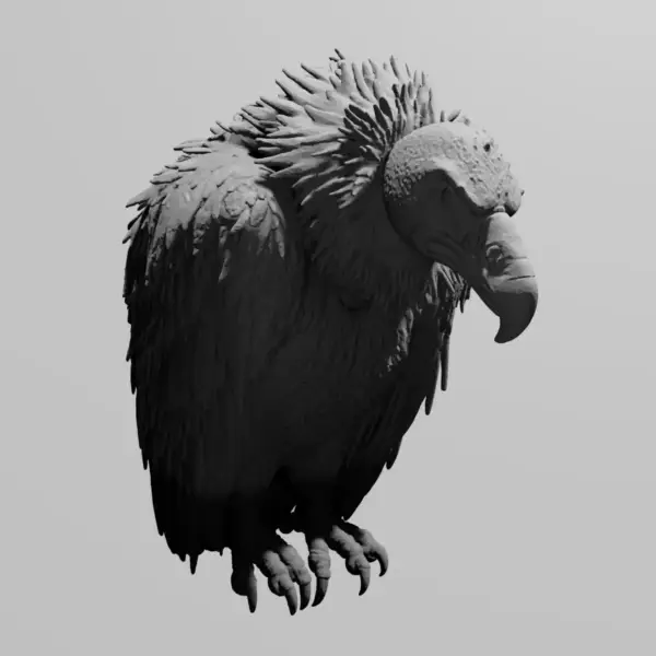 Vulture STL 3D Print File, Predator Condor STL Download